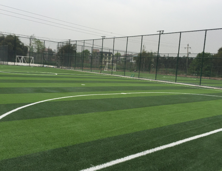 足球场草坪