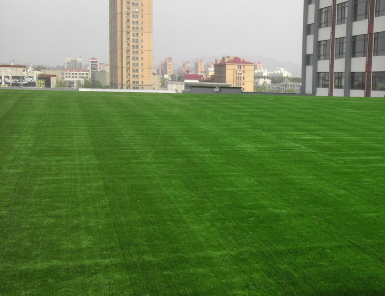 人造草坪